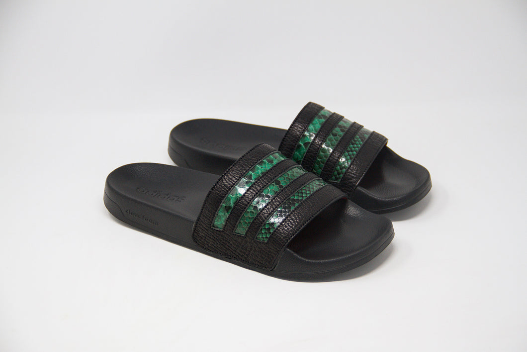 Shark and Python Slide